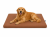 ba91c388ed411dcdbd355277e320a1ef.png