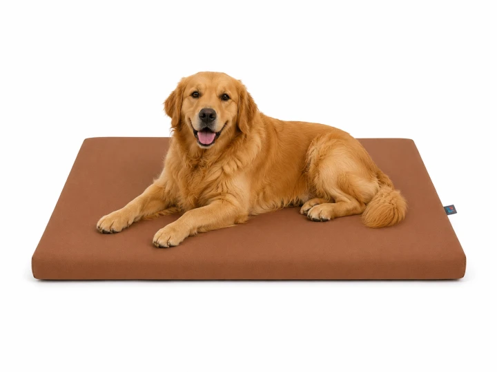 ba91c388ed411dcdbd355277e320a1ef.png