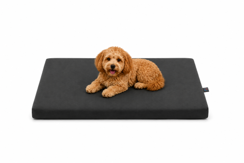 pelech pro psy capri cerny velikost m 80x60 cm